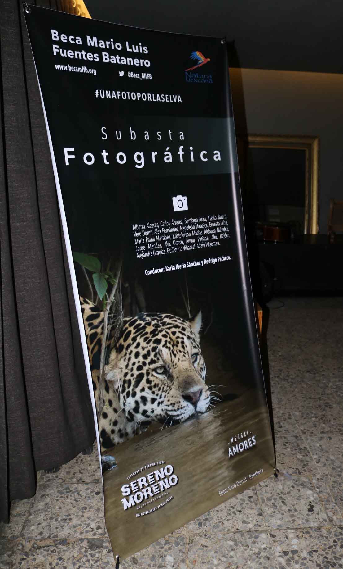 subasta fotografica subasta fotografica 3